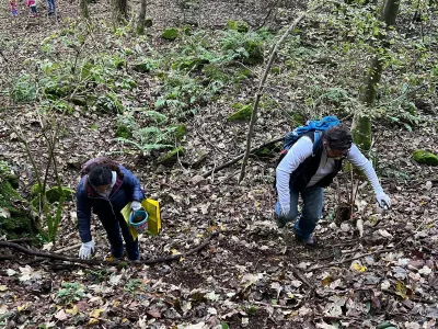 La castagnata al parco 2