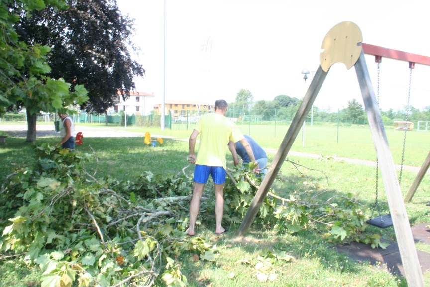 Lavori al parco 2008