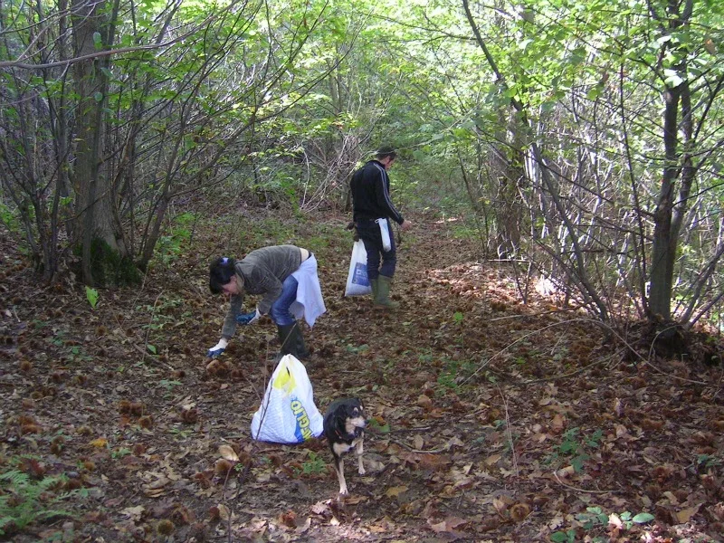 Castagnata 2009, foto 5