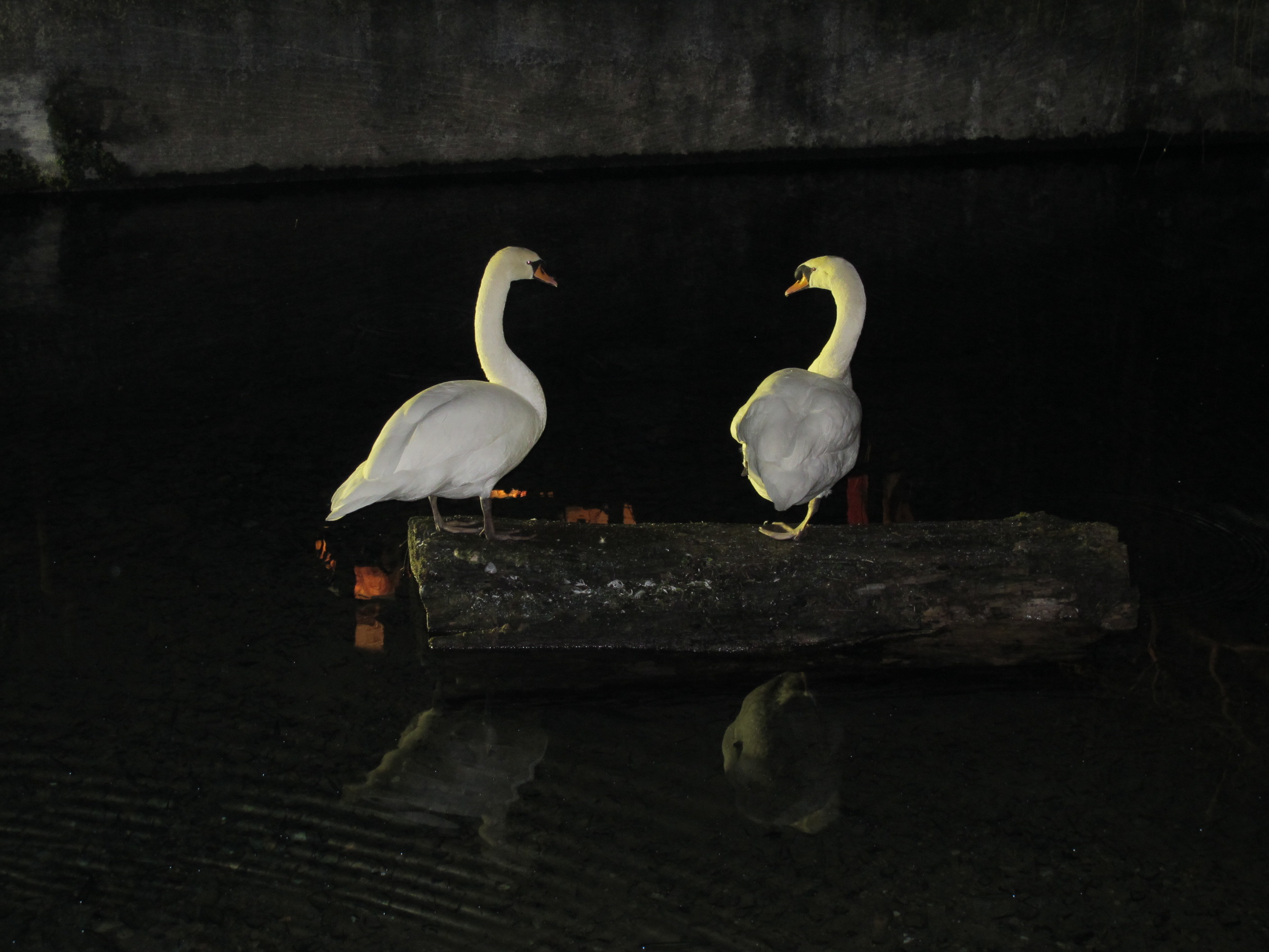 Presepe 2011