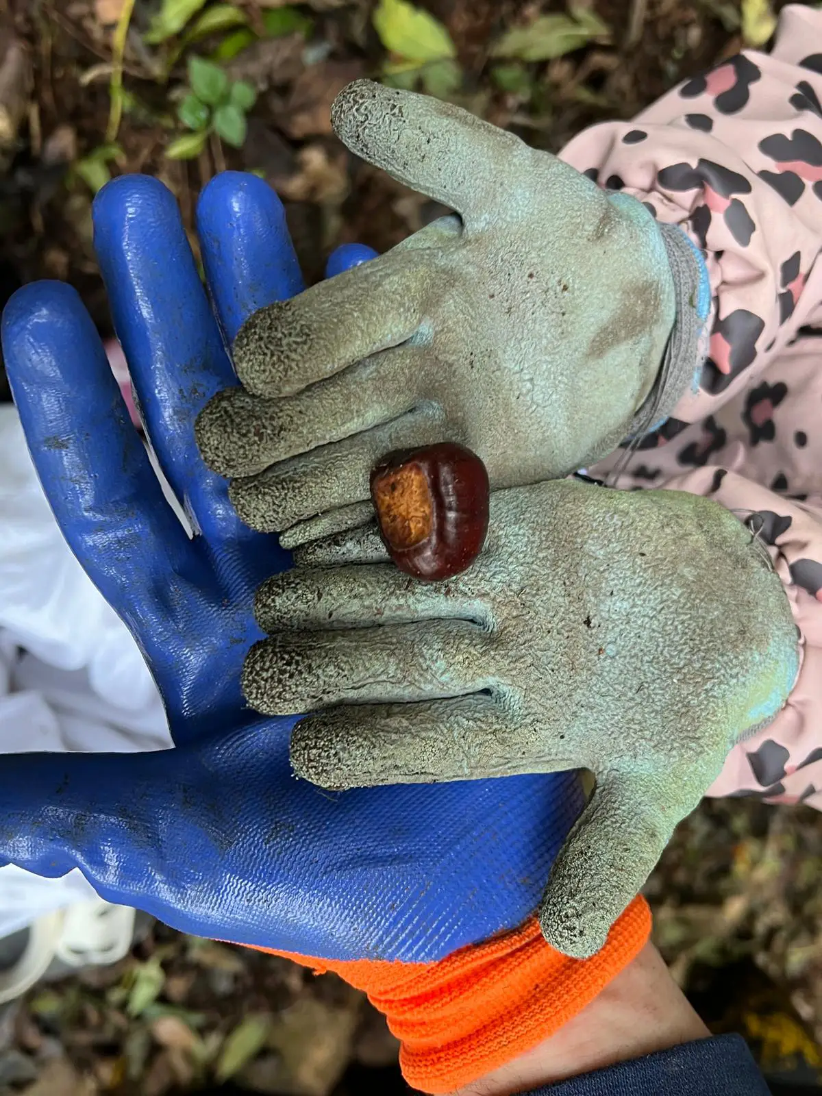 Una giornata di castagne e amicizia 3