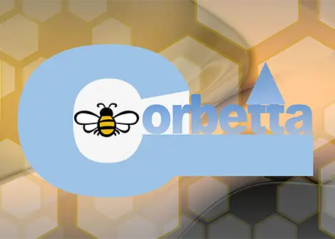 Una città per le api 